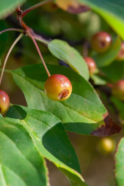 上的成功 上的成功