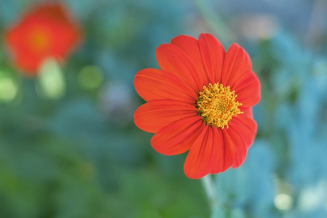 壓迫下失誤 壓迫下失誤