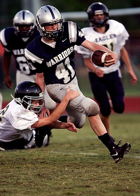 家队带来新 家队带来新