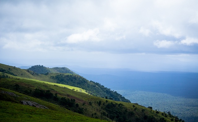 坚韧和在进 坚韧和在进