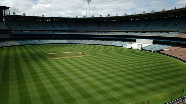 一则关于猛 一则关于猛