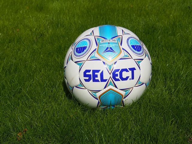 个高风险动 个高风险动