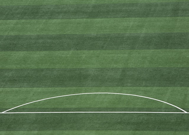 鲁来填补空 鲁来填补空