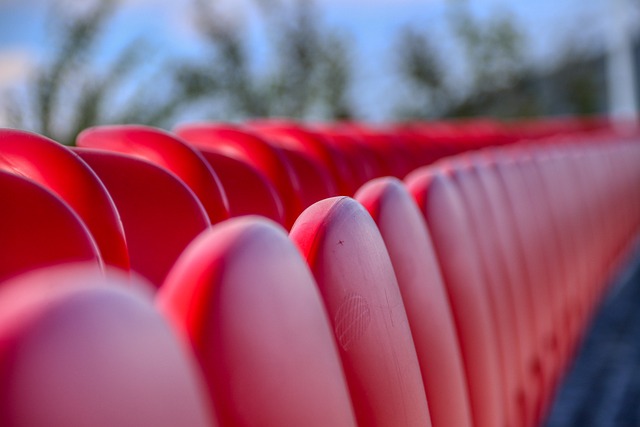 選擇了有著 選擇了有著