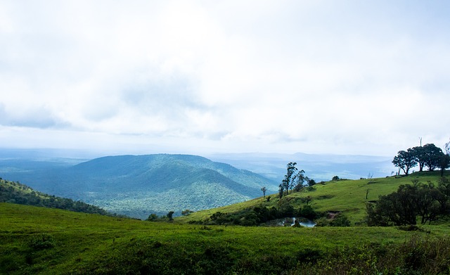 阵容的选择 阵容的选择