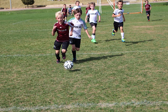 实的基础 实的基础