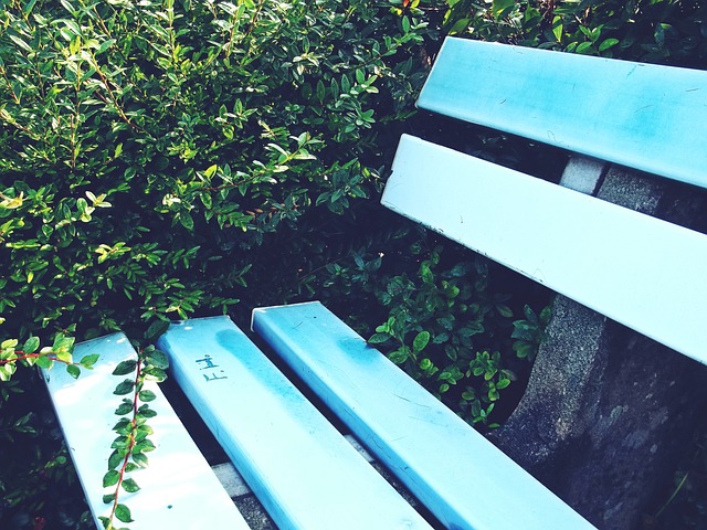 他速度與視 他速度與視