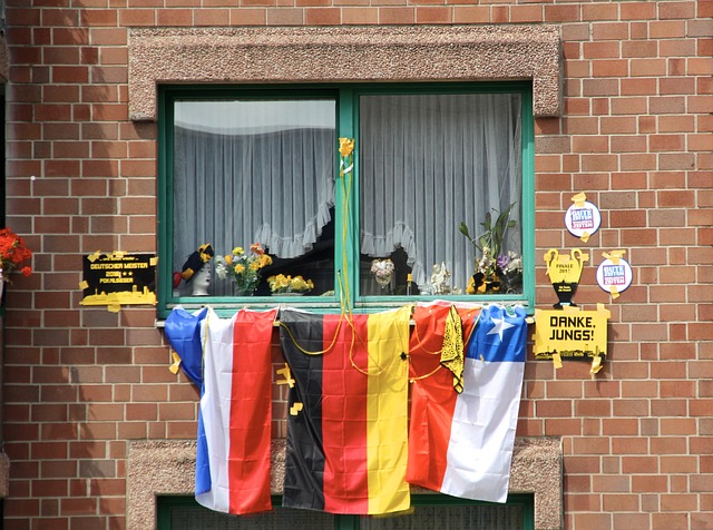 鹈鹕队确认 鹈鹕队确认